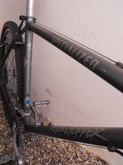 Rockhopper004.jpg