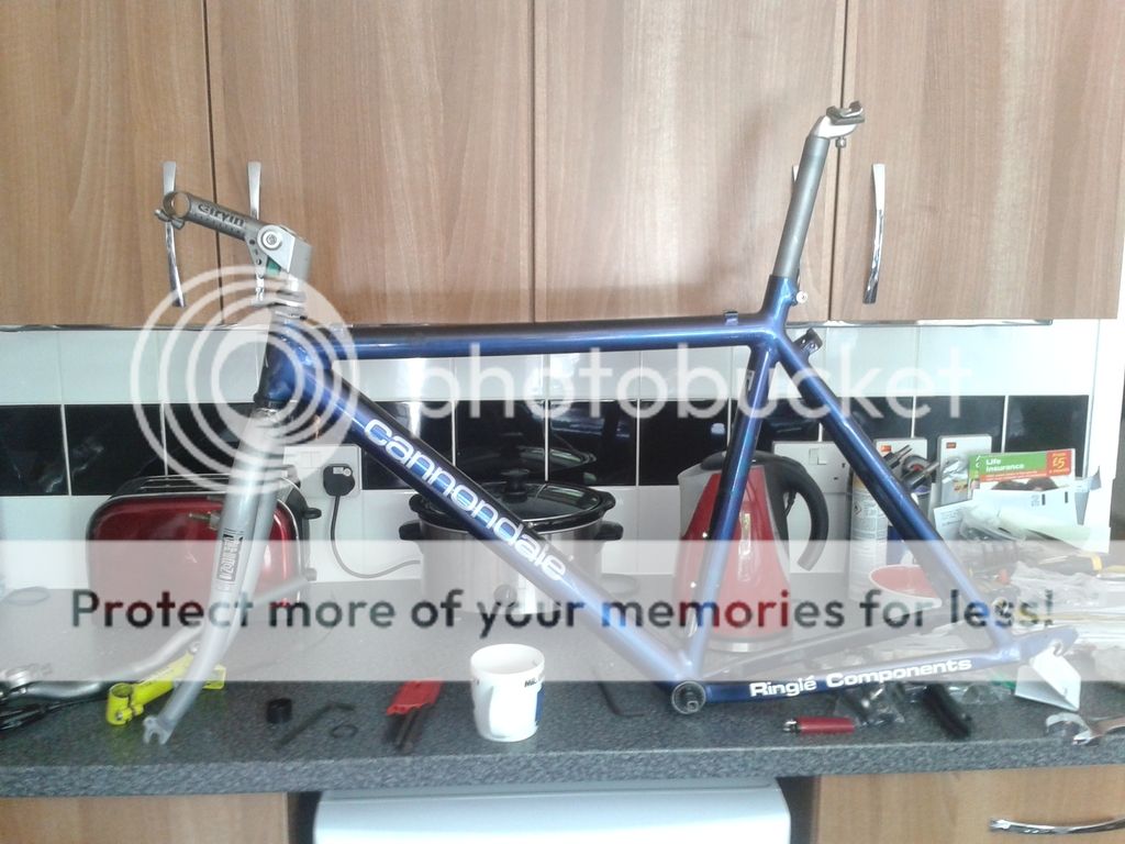 20150504_130149.jpg