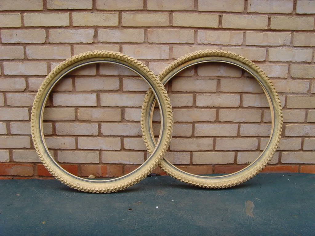 SNV35619.jpg