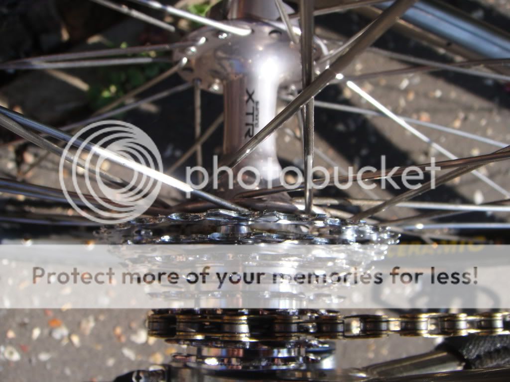forsale004.jpg