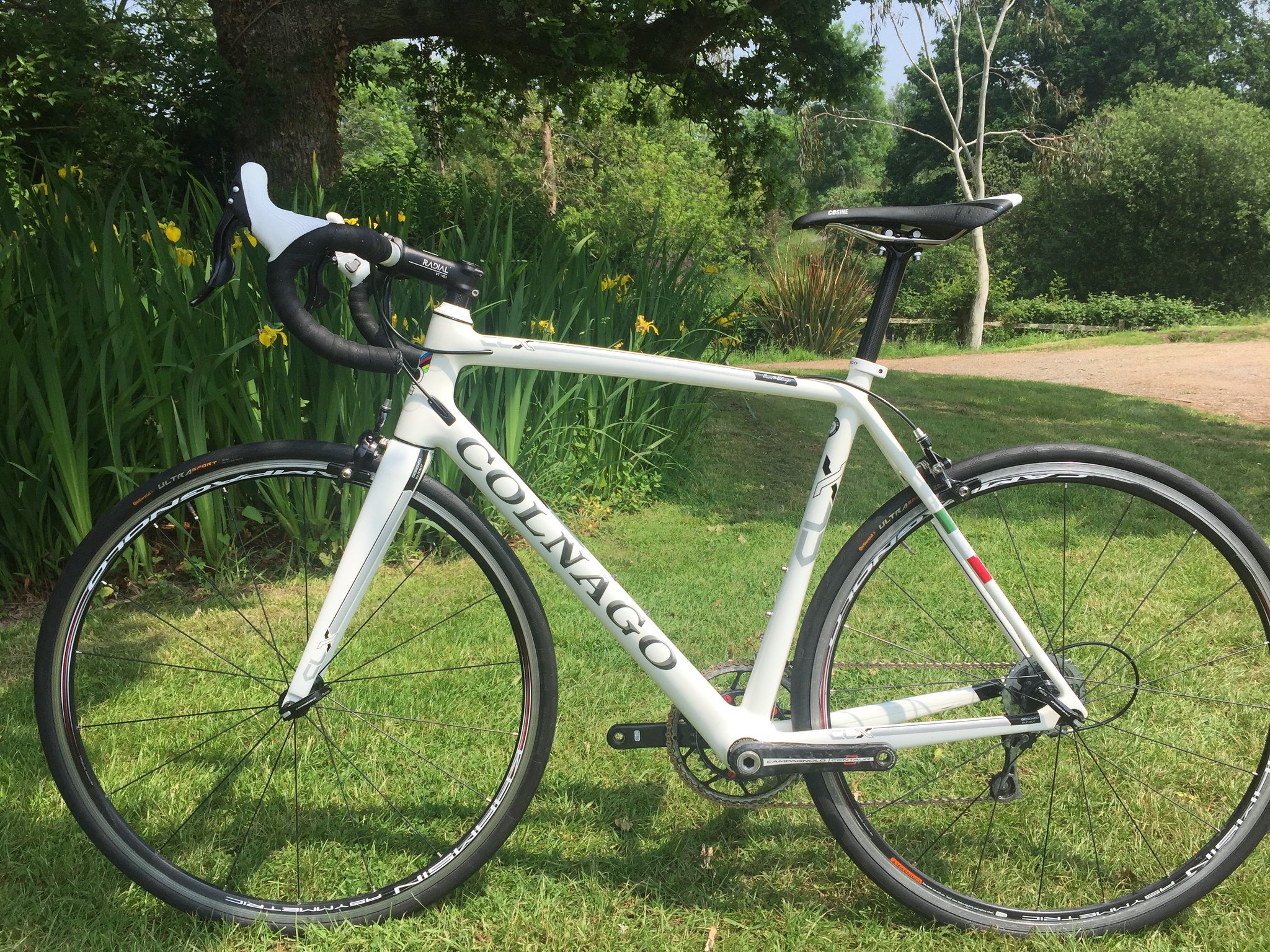 colnago clx campagnolo