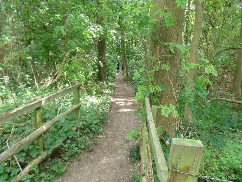 DSCF0842.jpg