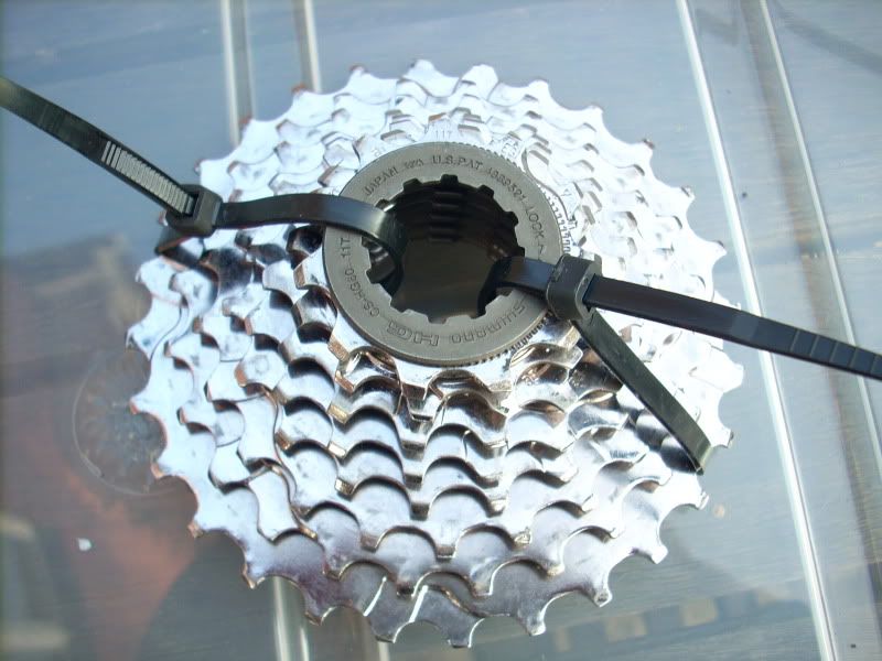 DSCN1032.jpg
