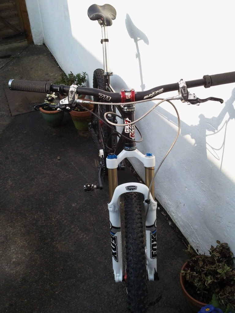 2011-03-28154108.jpg