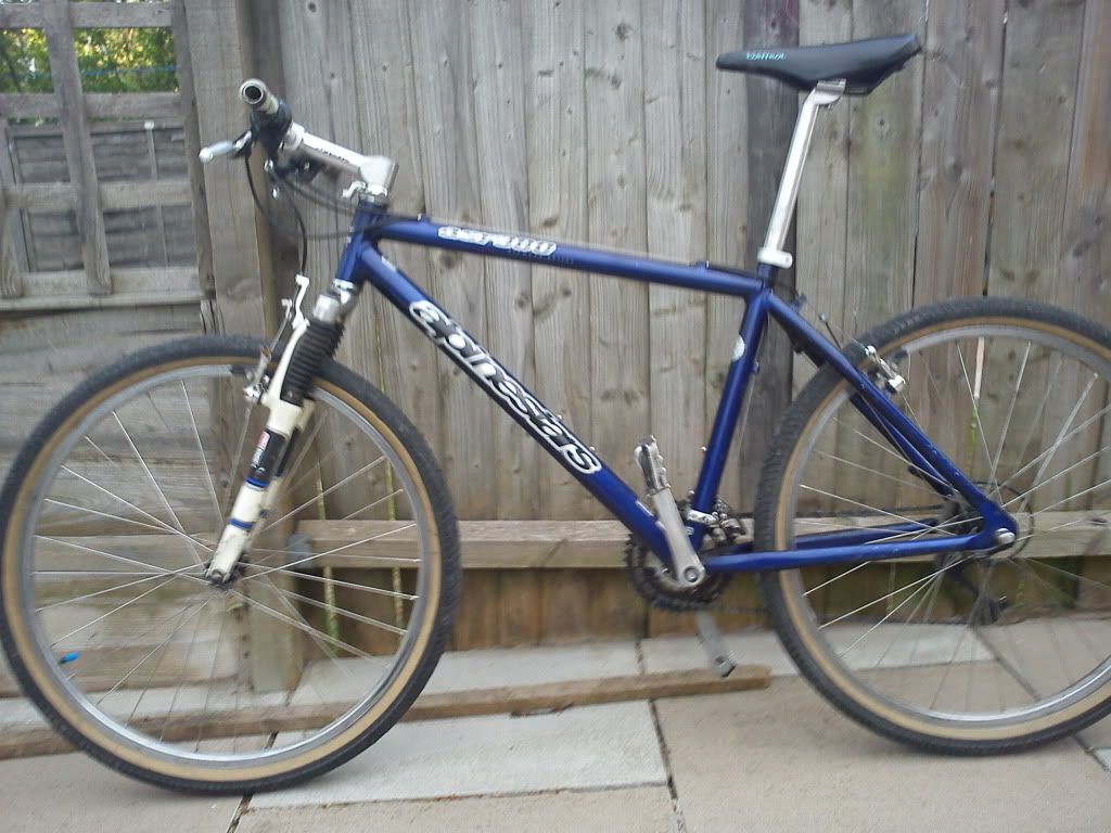 AlpinestarsAsr-380Diamondseries.jpg