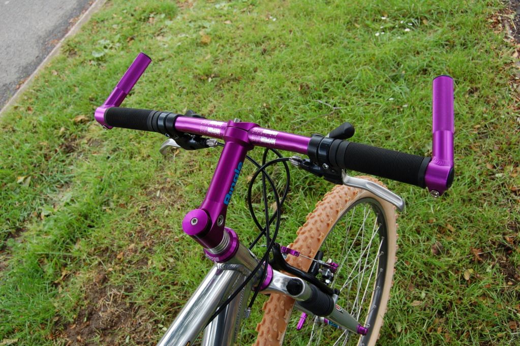 PurpleZaskar002.jpg