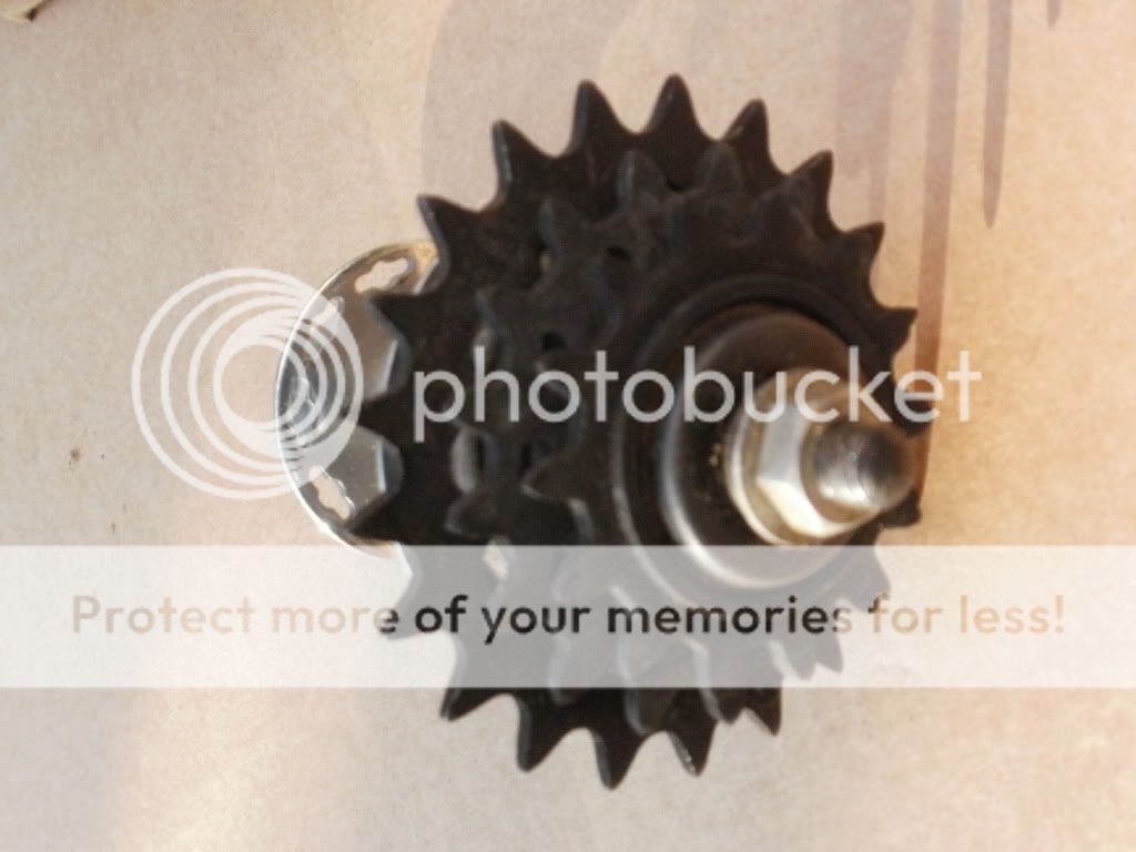 PA290966.jpg