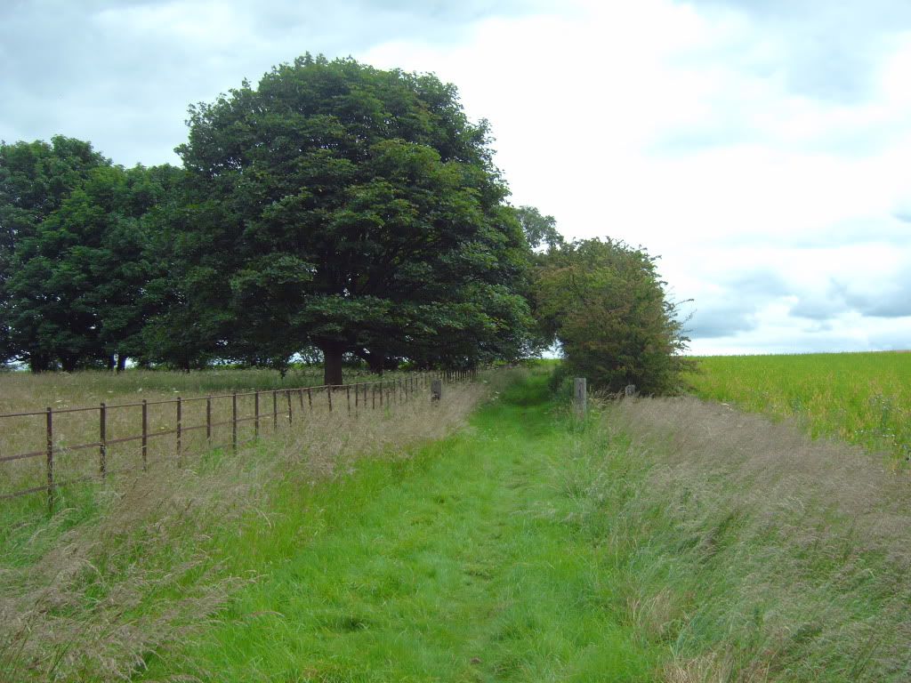 IMG00419.jpg