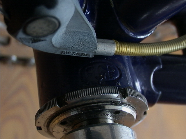 21578010ws.jpg