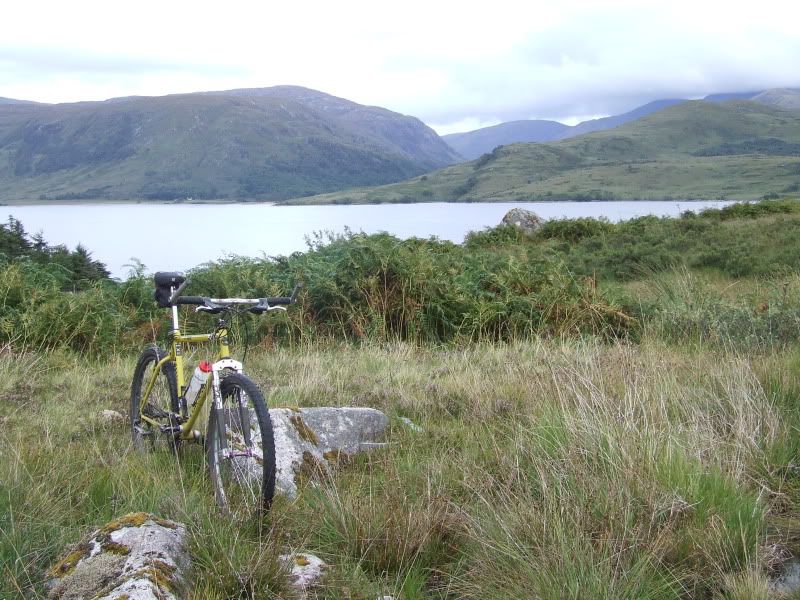 DSCF2617.jpg