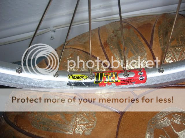 DSCN5430.jpg