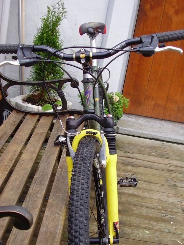 specialized4.jpg