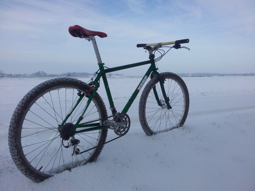 20120205_102356.jpg
