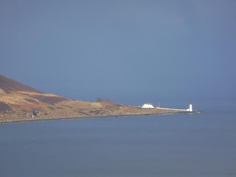 P1000745.jpg
