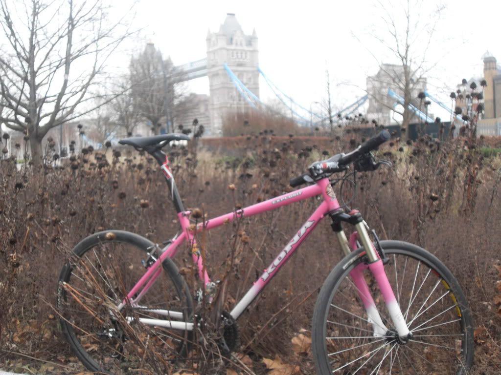 konapicture2010034.jpg