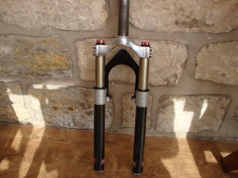 Judyfsxforks002.jpg