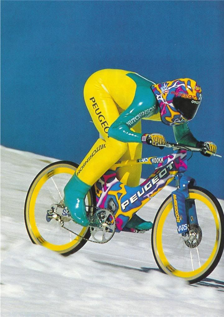 PeugeotSneeuw2720.jpg