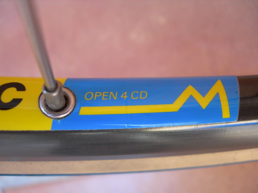 DSCN9379.jpg