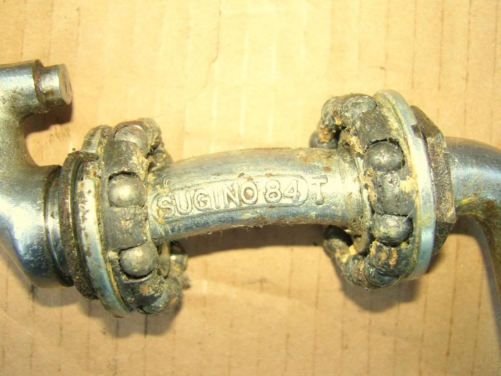 SNC19755.jpg