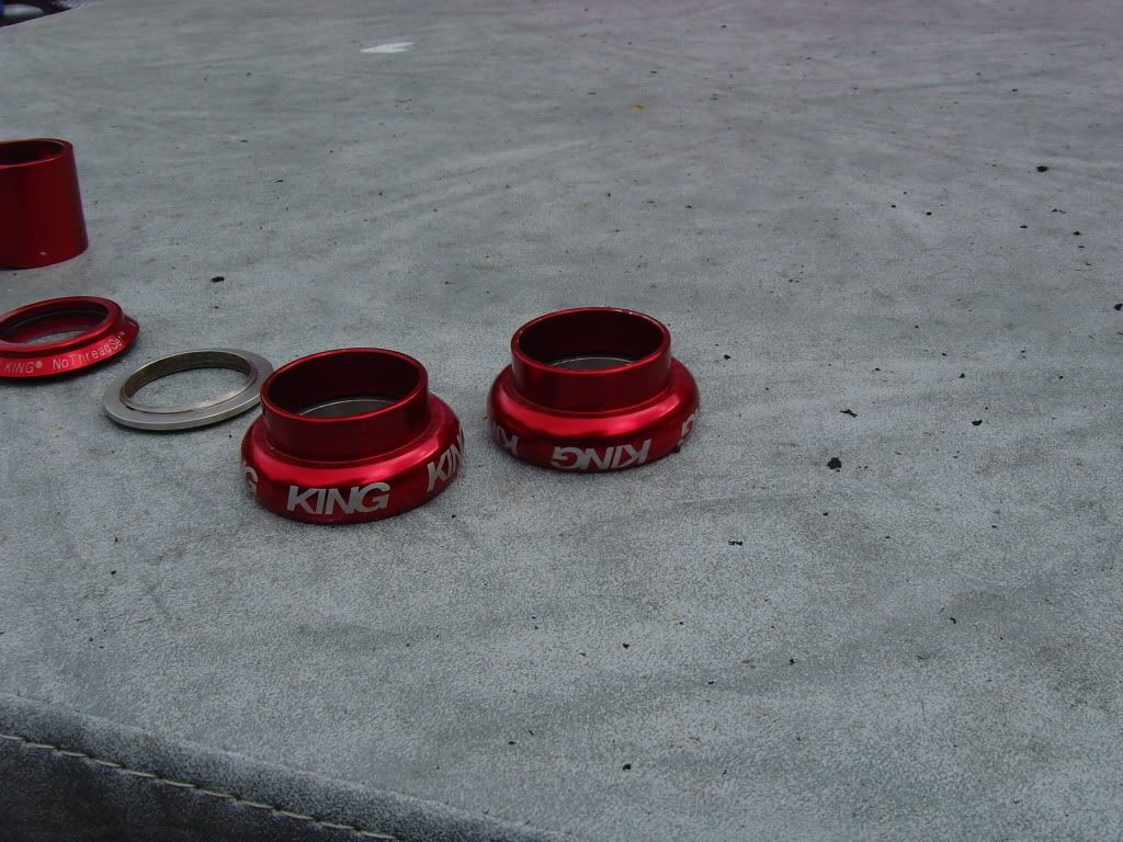 SNV35633.jpg