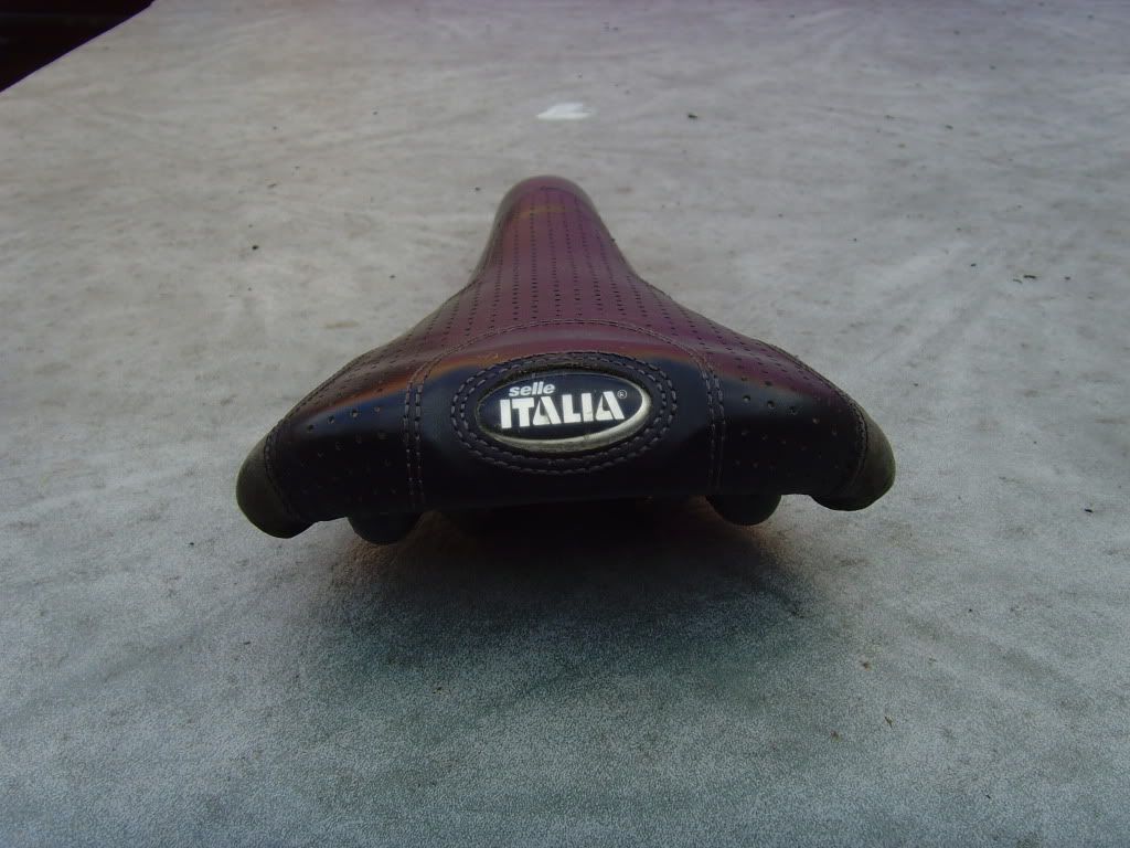SNV35609.jpg