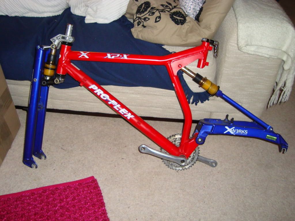 Adambike001-2.jpg