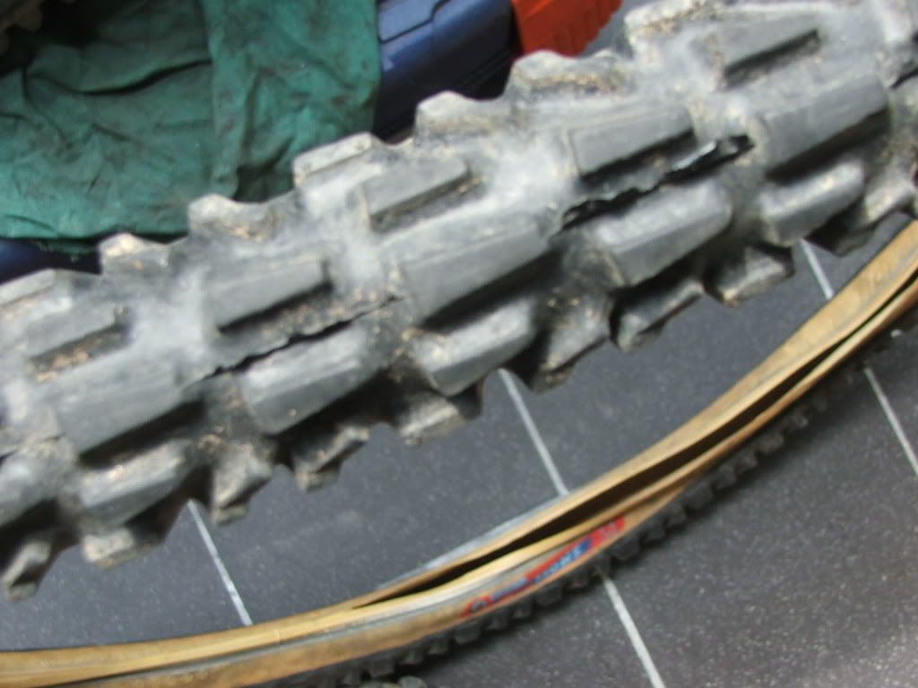 DSCF7855.jpg