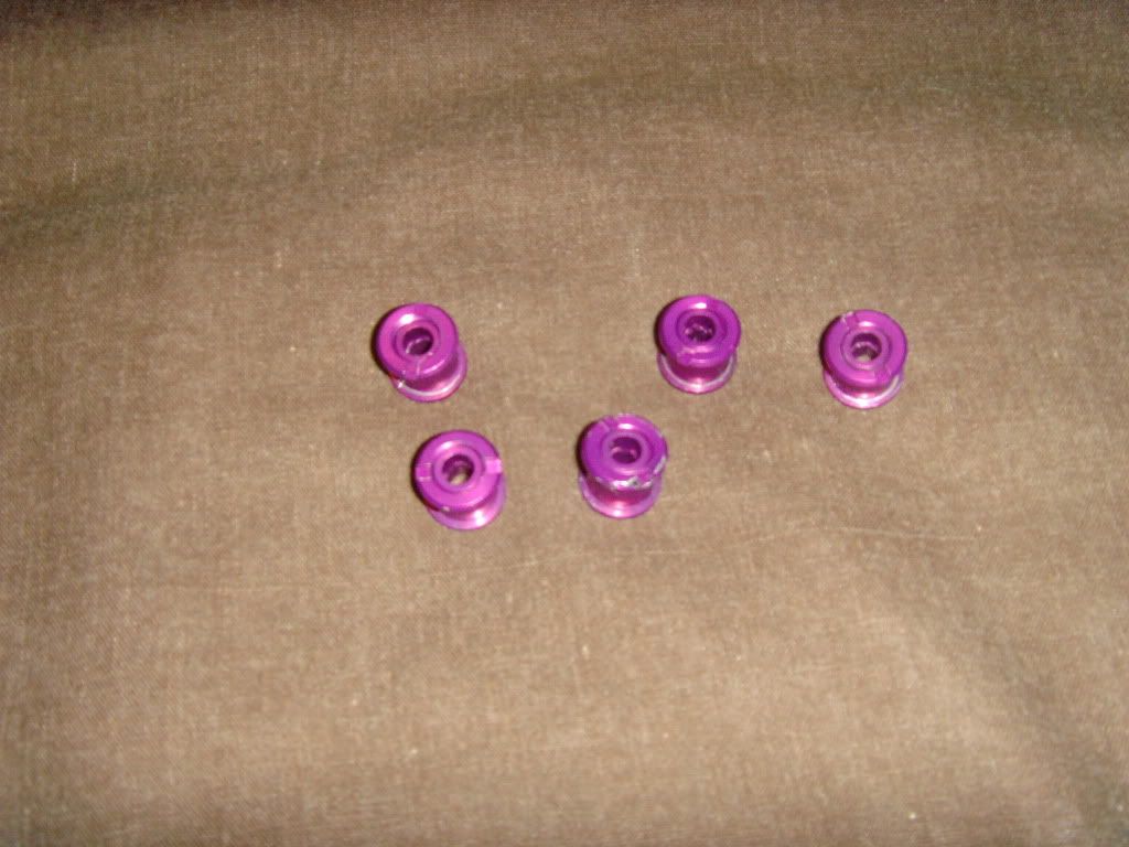 SNV33940.jpg