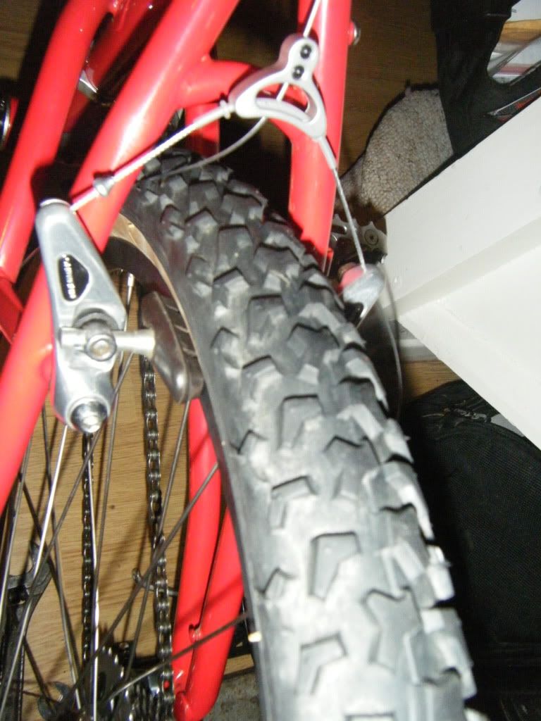 dscf2446.jpg
