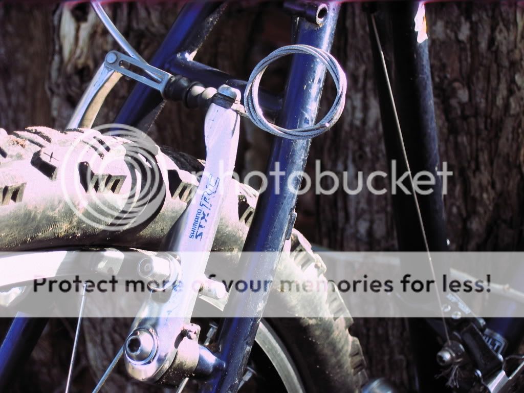 STXRCVbrakes.jpg