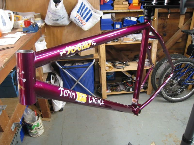YoBuild-Polish001.jpg