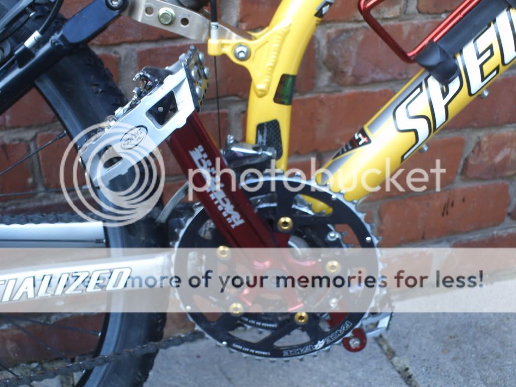 Picturesofbike004.jpg