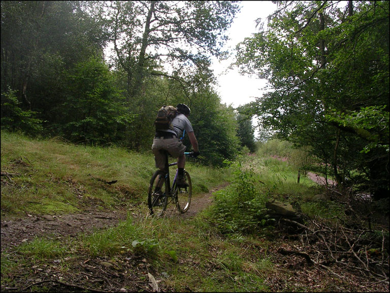 RB-Drumlanrig_07.jpg