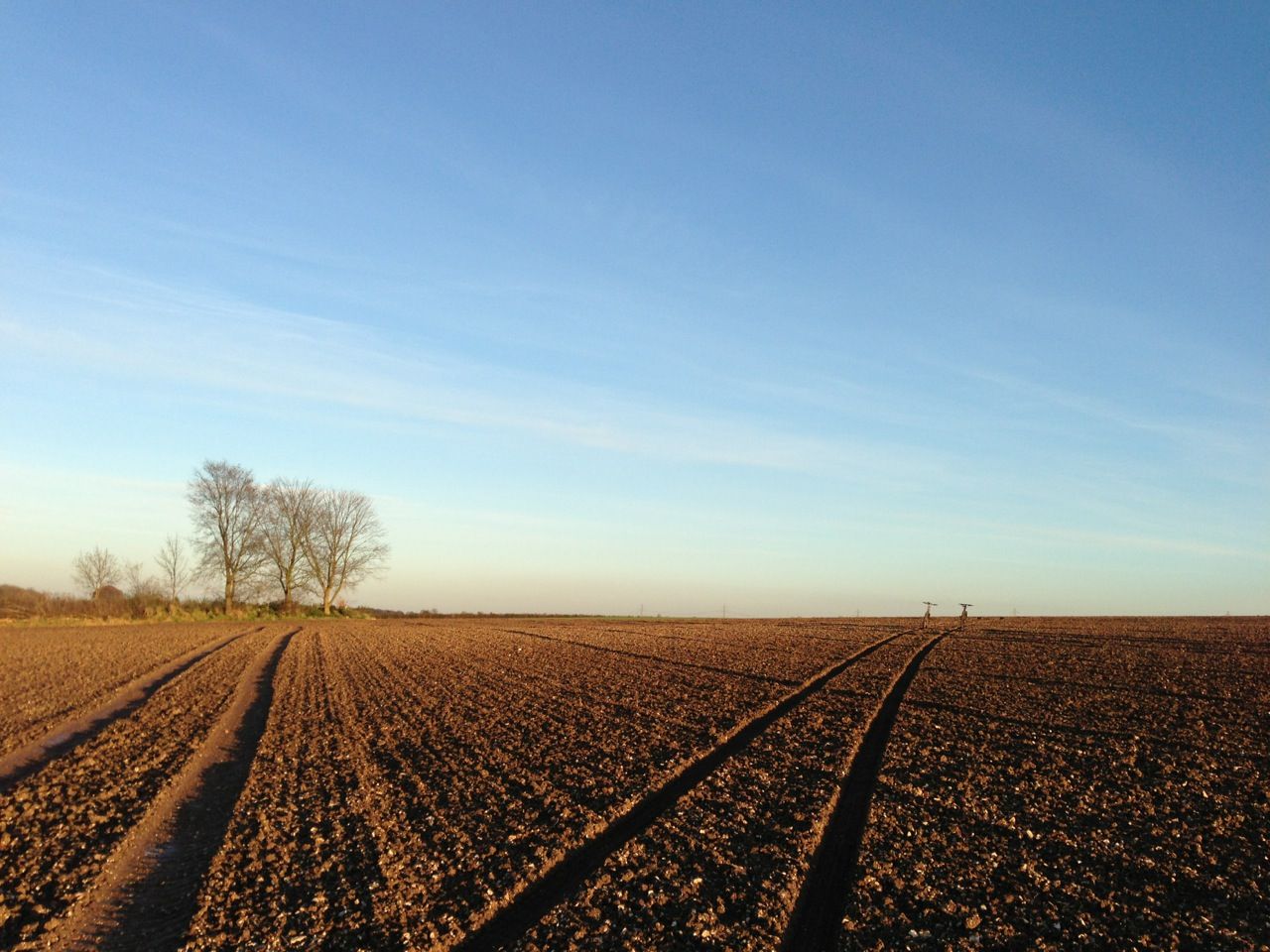 file-9.jpg