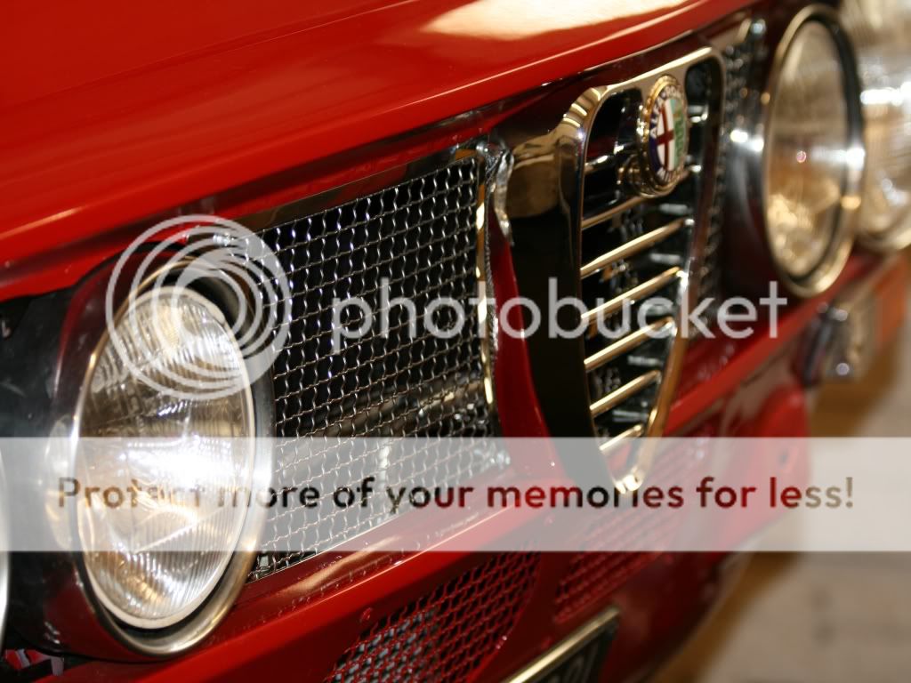 ALFA10.jpg