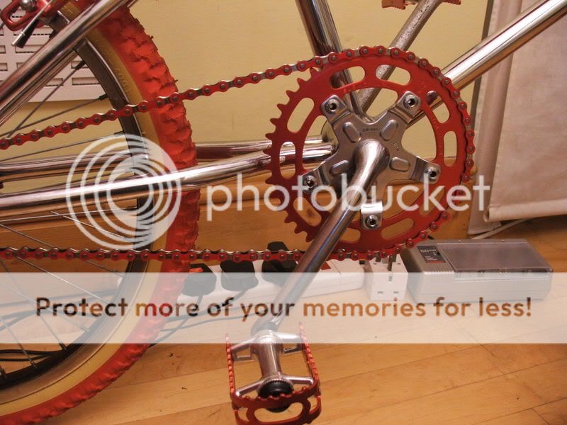 DSCF7545.jpg