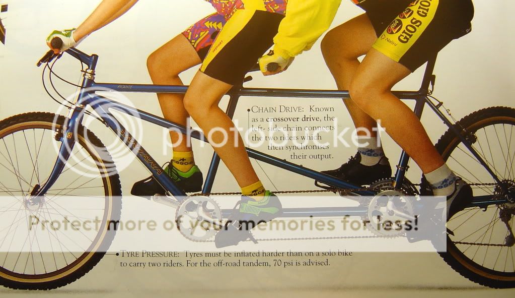 tandem.jpg