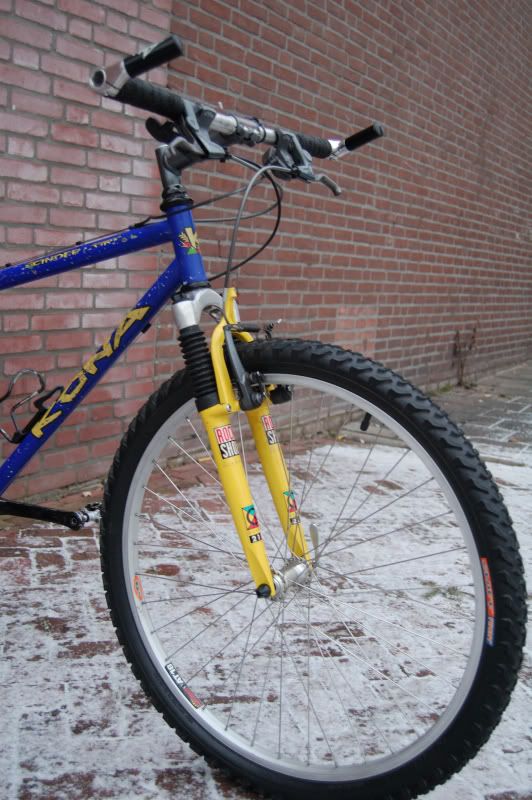 1997CinderCone176.jpg