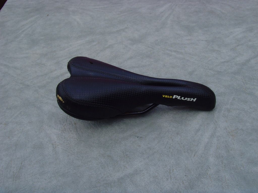 SNV36731.jpg