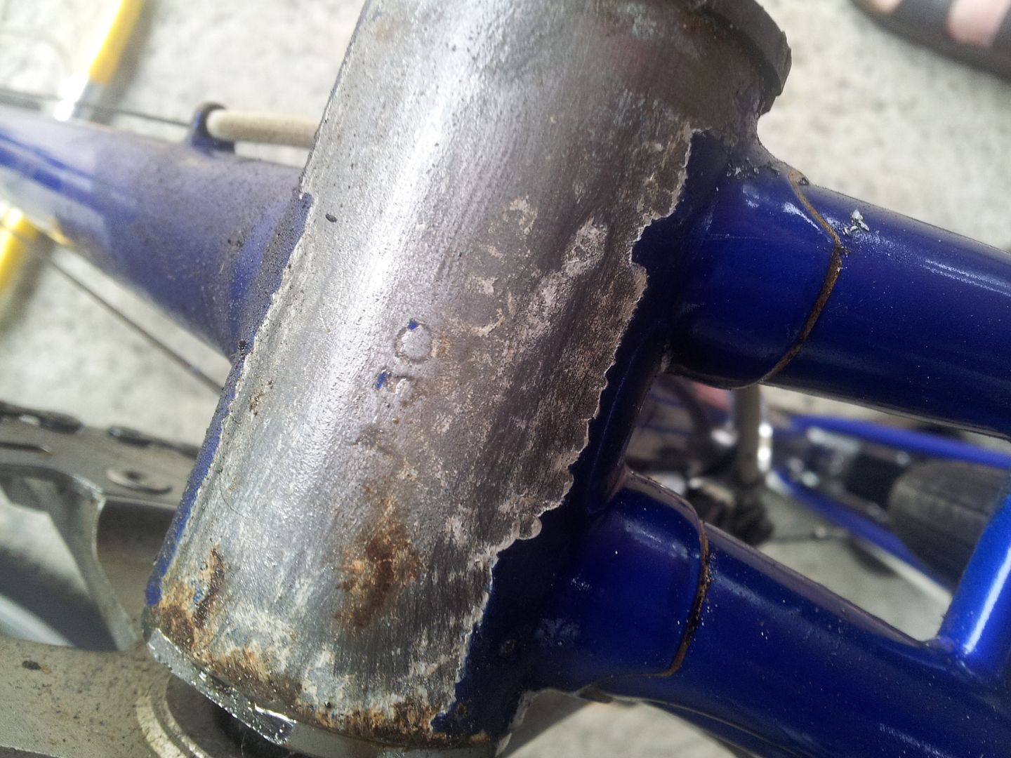 20120827_130556.jpg