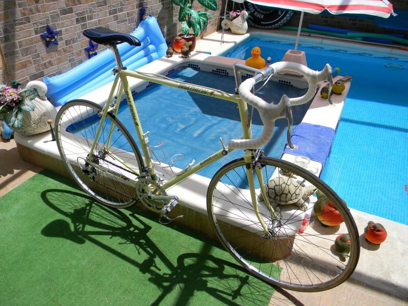 DSCN2266.jpg