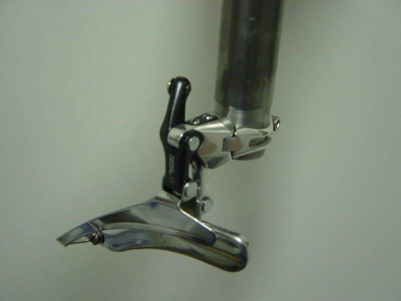 DSC03542.jpg