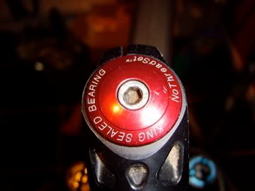 SV200055.jpg
