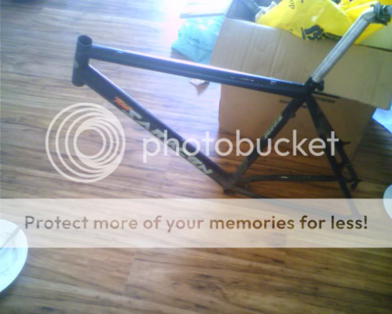 IMAGE_108.jpg