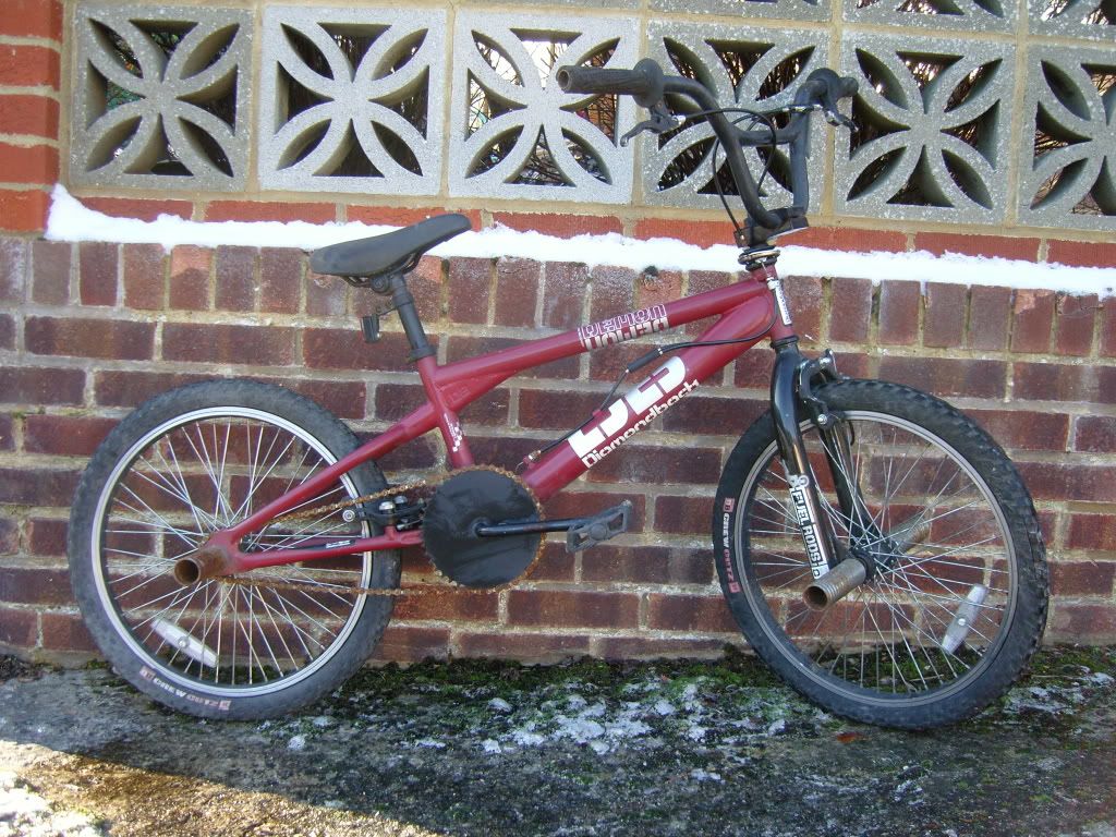 andybmx028.jpg