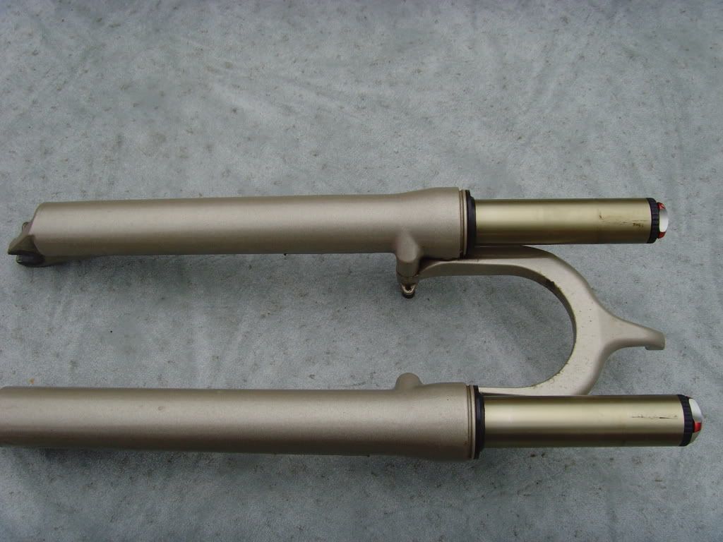 SNV36177.jpg