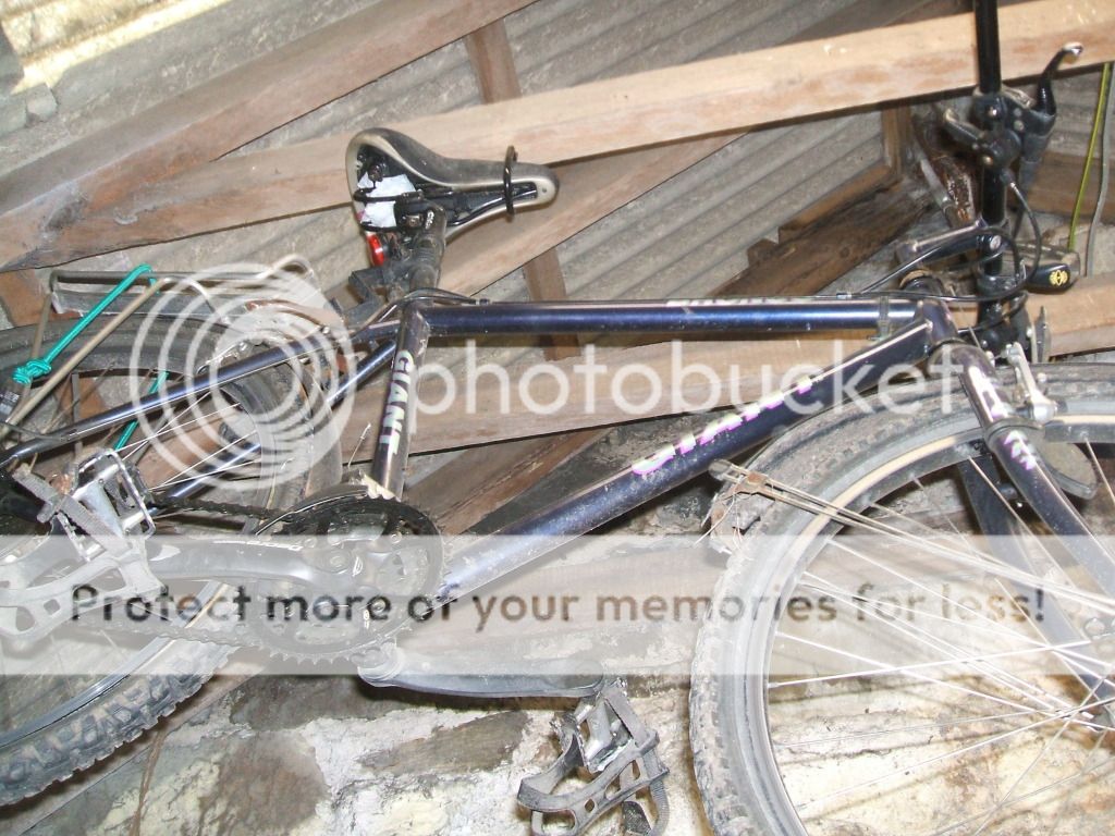 DSCF5476.jpg