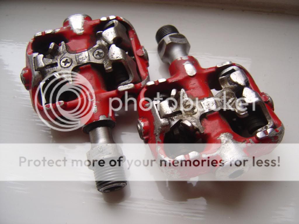 DSC08279.jpg
