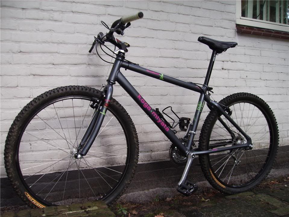 TrailRunner5720h.jpg