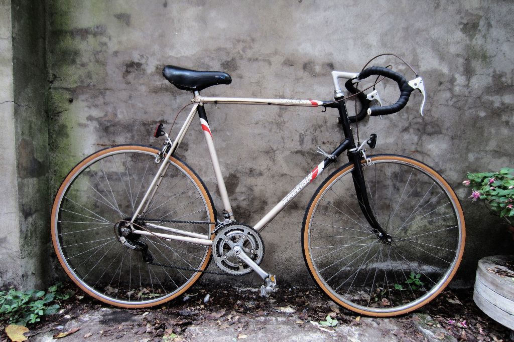 raleigh triumph road bike